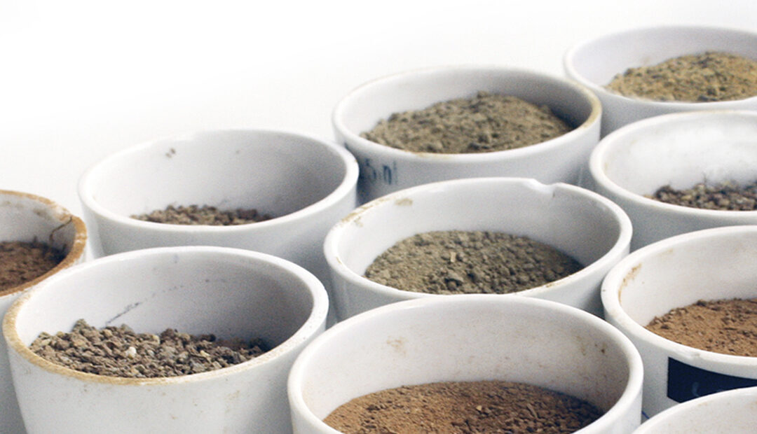 La importancia de la Fertilidad Química del suelo del olivar