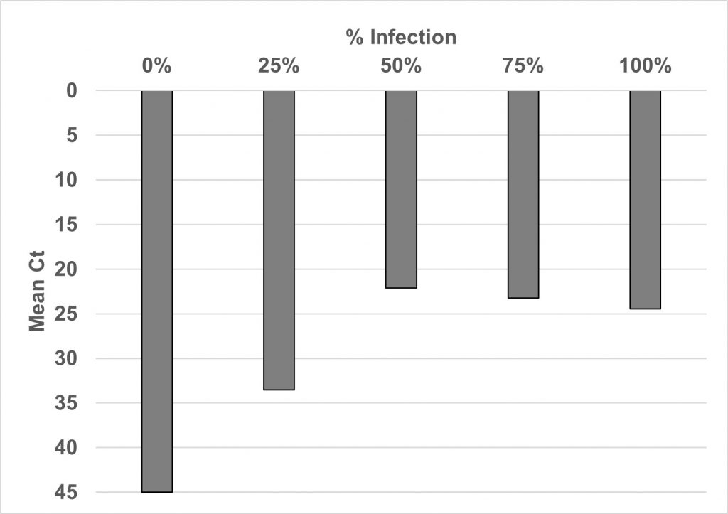 Figura 3. Correlación entre % de infección a visu de las hojas afectadas y Ct en qPCR.